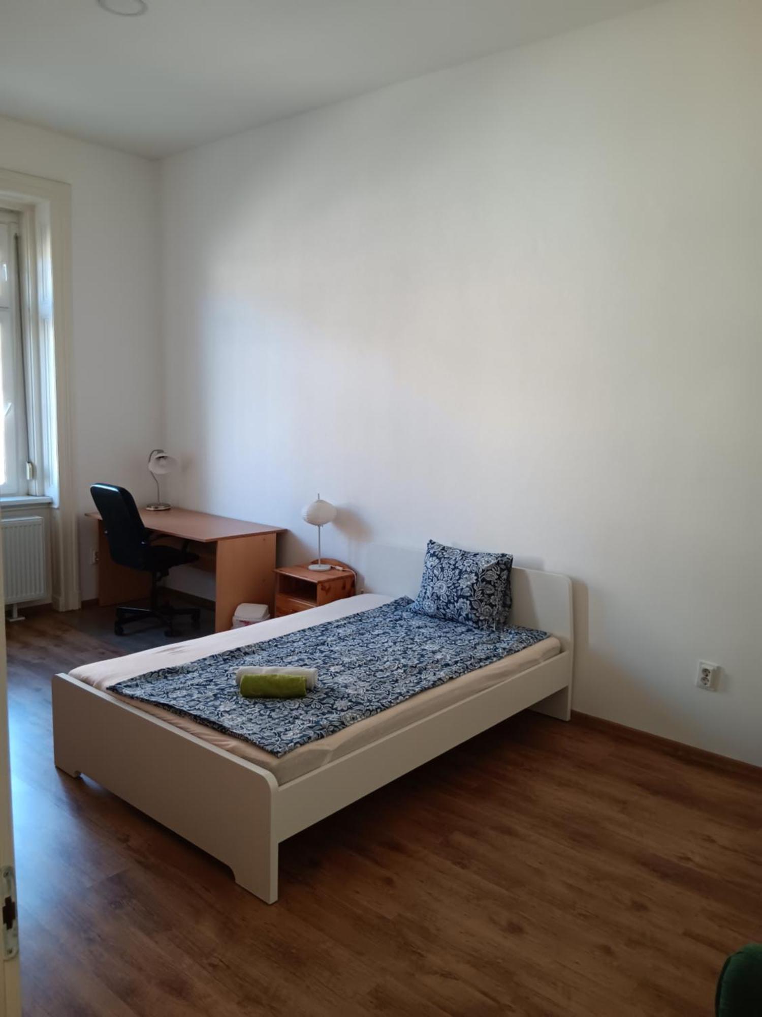 Big Cozy - Skyfall Apartment 3 Bdrm 6 Beds 1&Half Baths Budapest Esterno foto